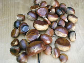 DSCN3895.JPG