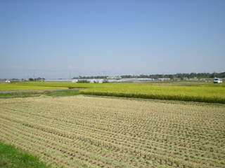 DSCN3963.JPG