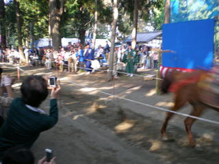 DSCN4067.JPG
