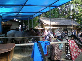 DSCN4110.JPG