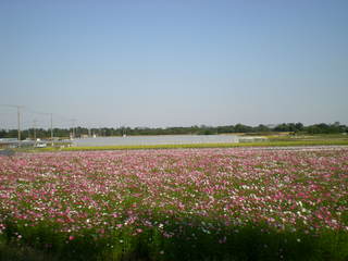 DSCN4131.JPG