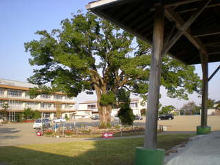 DSCN4142.JPG